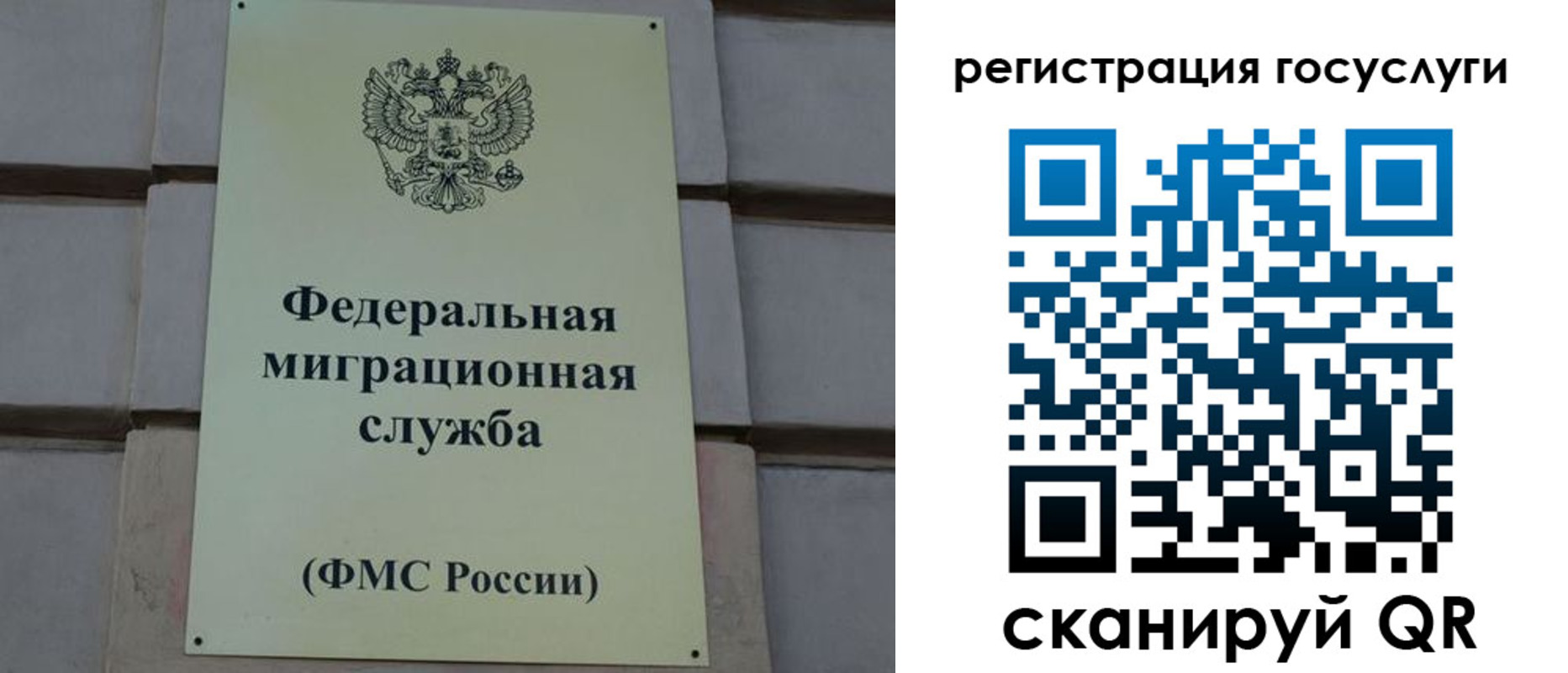 временная регистрация поиск в Ясном